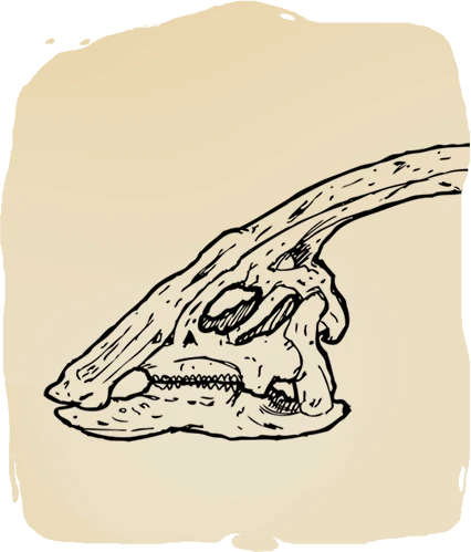 fossil